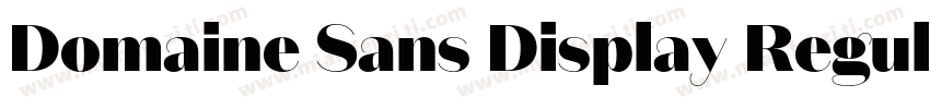 Domaine Sans Display Regula字体转换